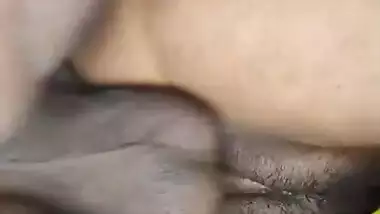 Famous Desi Couple Blowjob And Fucking Part 339
