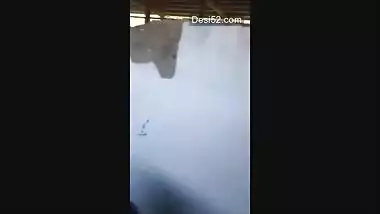 Desi cute collage girl suck her bf dick